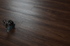 Optima click Walnut American / Американский орех