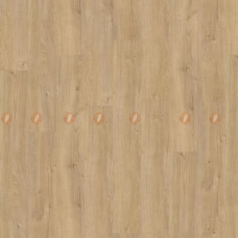SEBASTIAN OAK 05325