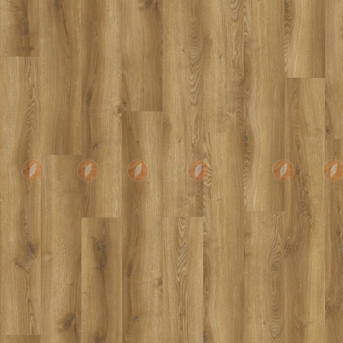 SPC ламинат Adelar - Solida Traditional Oak (03866)